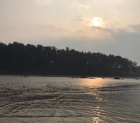 A Newbies Guide to Alibaug