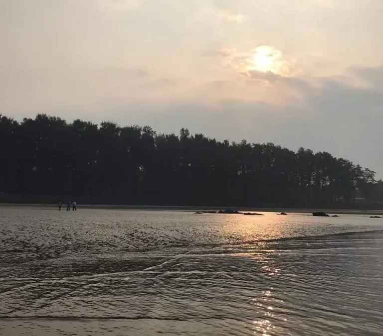 A Newbies Guide to Alibaug