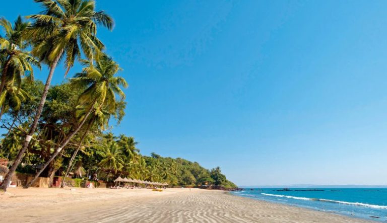 7 Places to Visit in Goa During The Monsoon