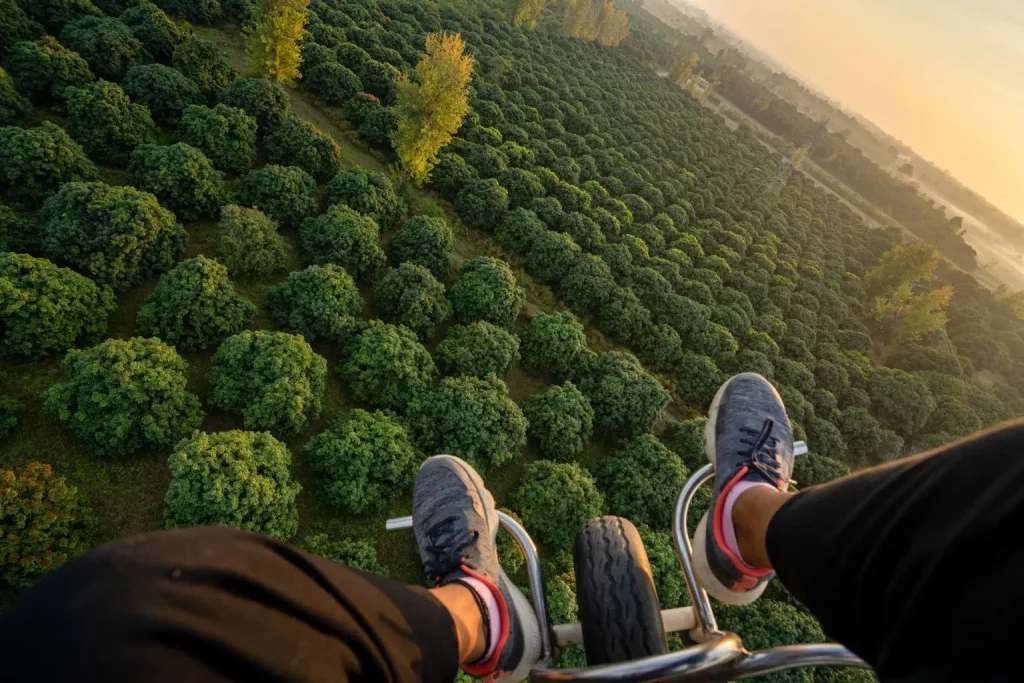 Paragliding in Jim Corbett - Homestead