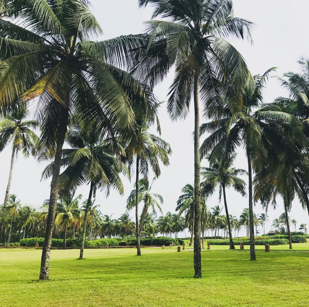 Garden View - Alibaug