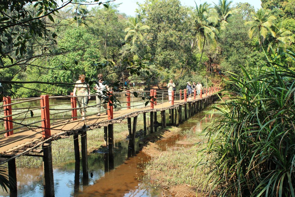 Tropical spice plantations of Goa