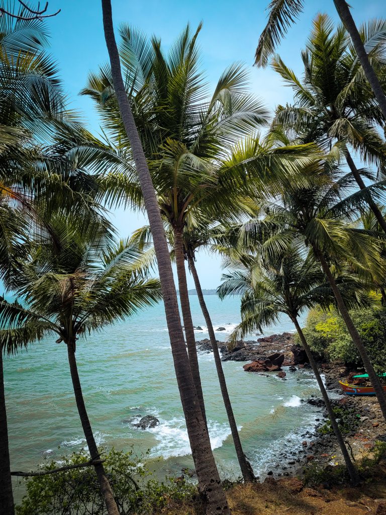 Goa in Monsoons | 10 Amazing Things To Do in Goa – Must-try Experiences