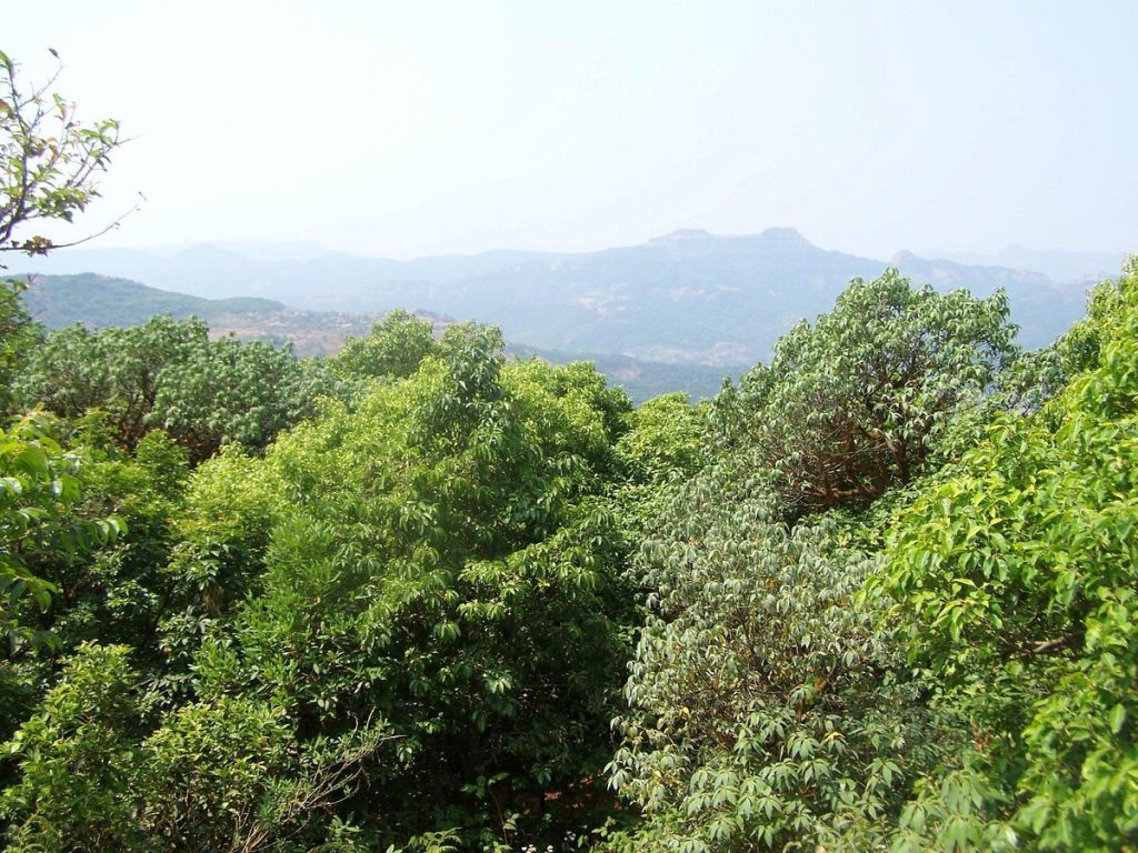 villas with best views in Mahabaleshwar