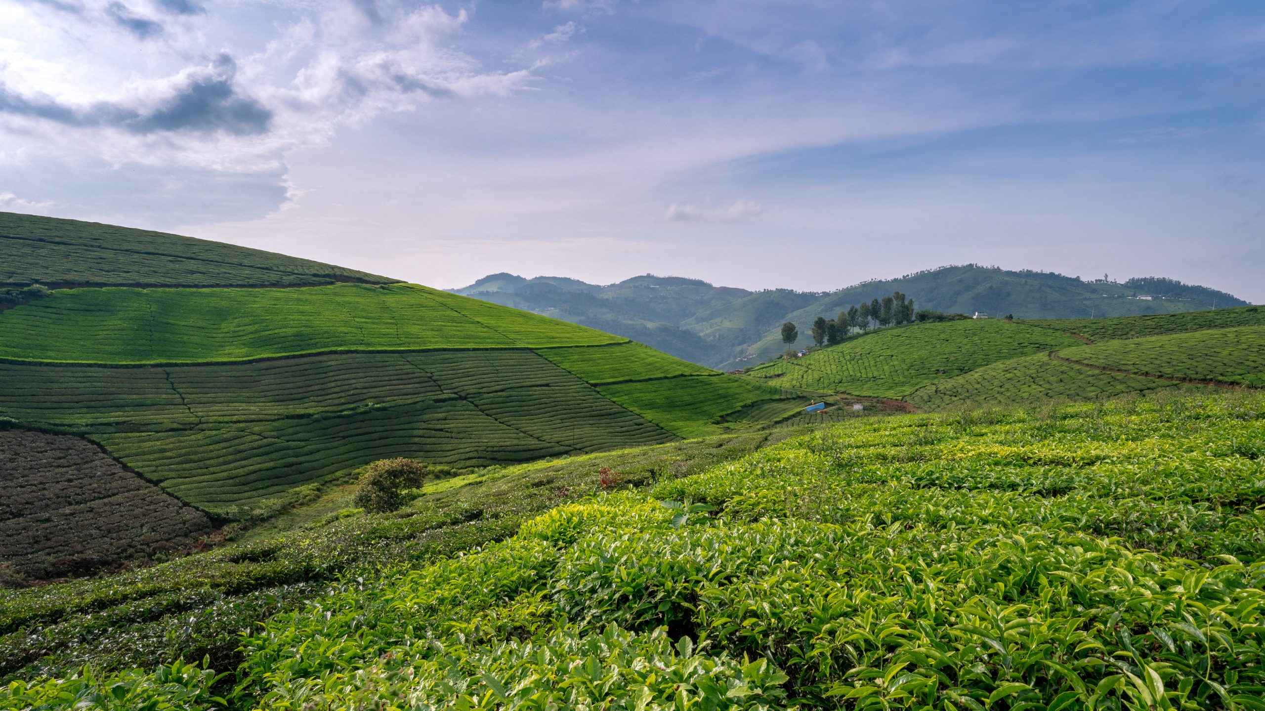 coonoor itinerary