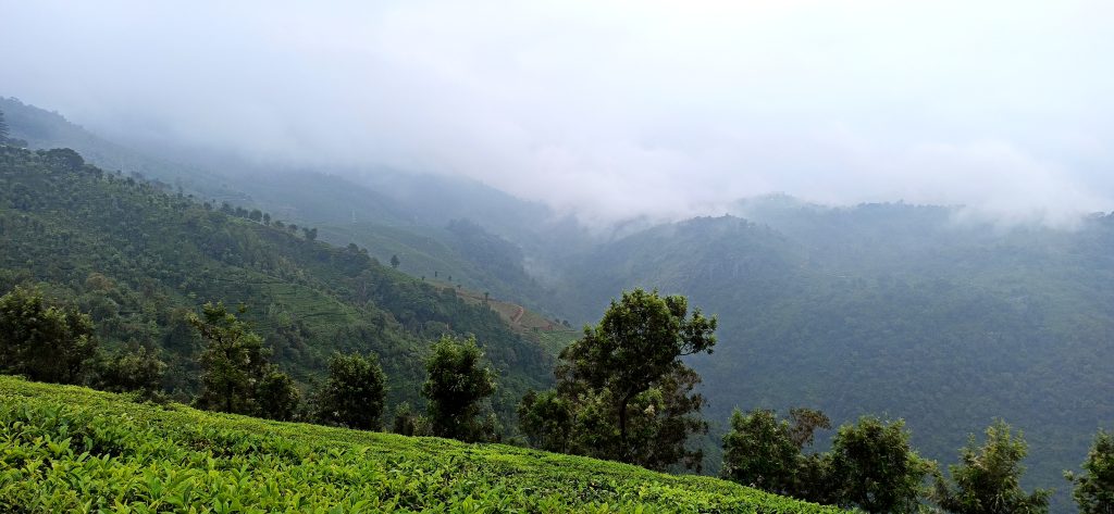 coonoor guide