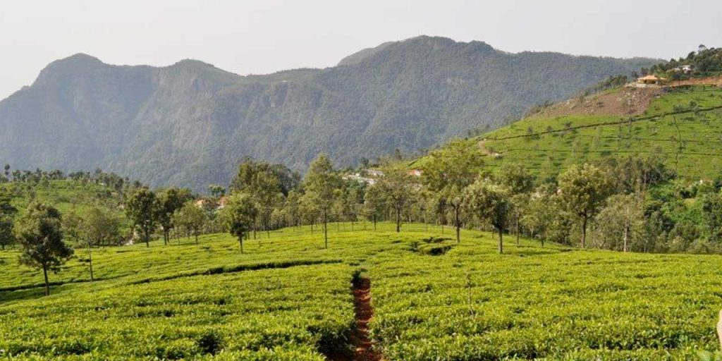 coonoor best places to stay