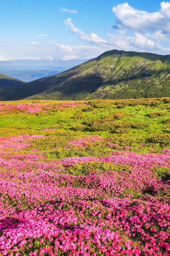 tourist places near pune in summer