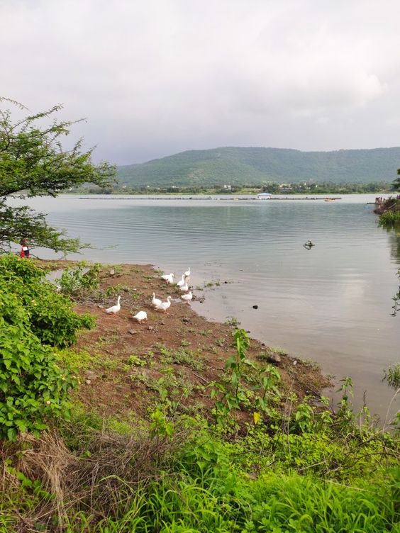 tourist places near pune in monsoon