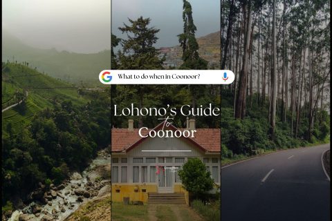 Coonoor Guide – Eat, See, Do & Stay | Luxury Travellers’ Guide