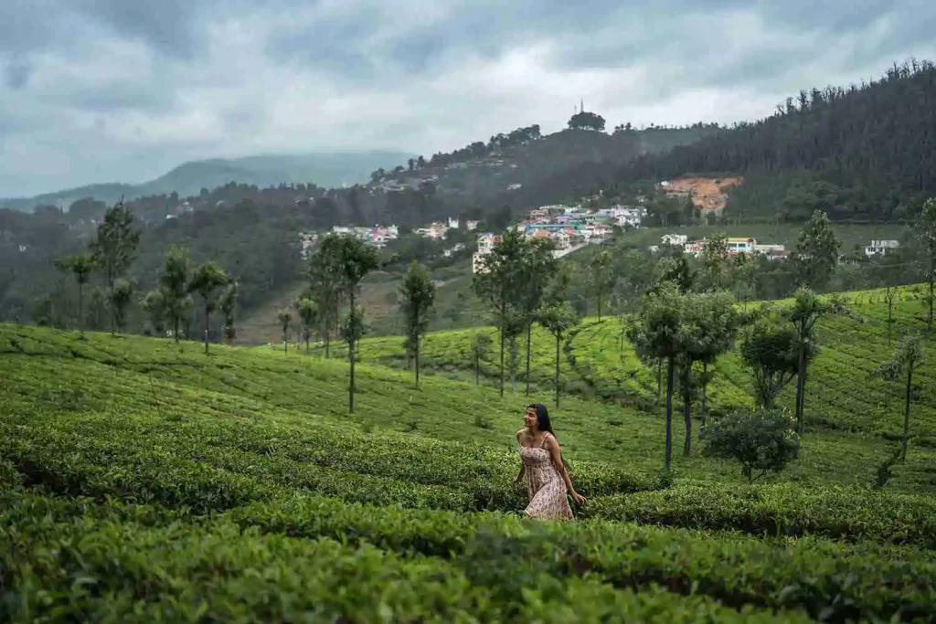 Coonoor-one-day-trip-nilgiri-tea-estate