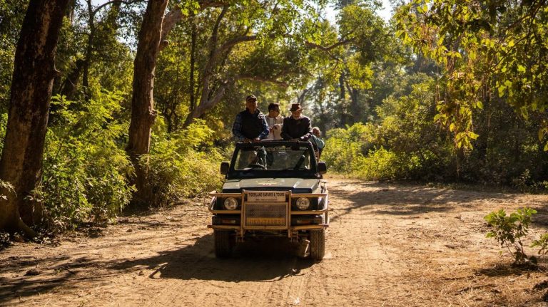 Jeep Safari vs Canter Safari In Jim Corbett: Which Is Better?