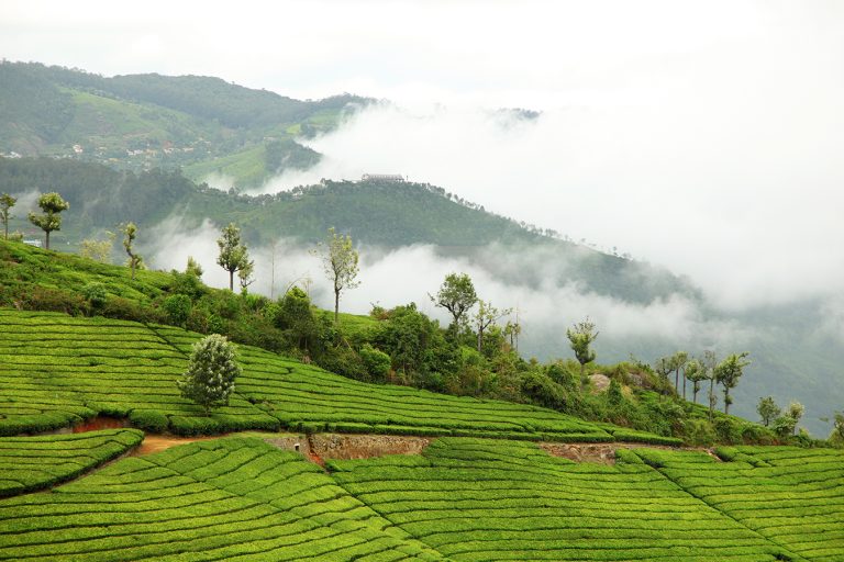 Weekend Trip to Coonoor from Bangalore