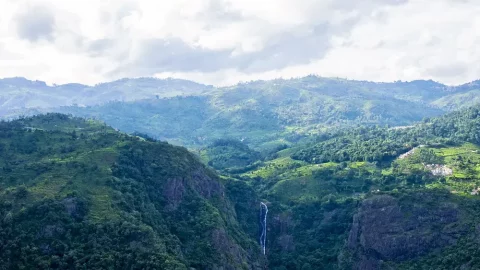 Best Waterfalls Near Coonoor Worth Visiting