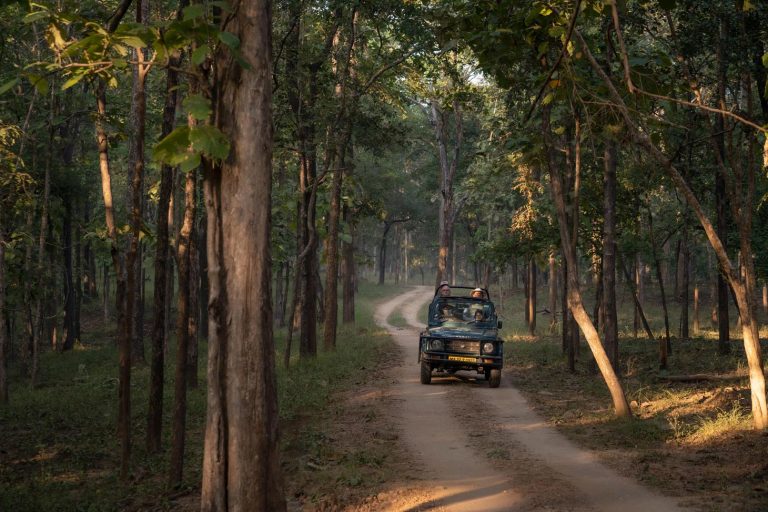3 Day Itinerary Jim Corbett | Short Day Trips From Corbett