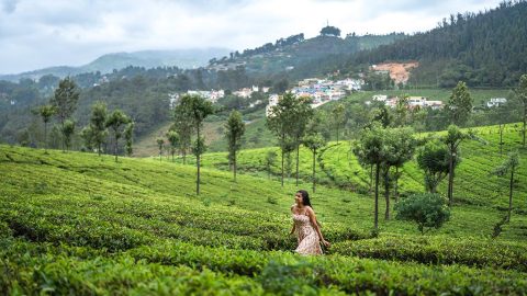Your Coonoor Itinerary | Things To Do in Coonoor in 5 Days