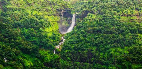 15 Must-Visit Waterfalls in Lonavala for a Scenic Monsoon Getaway