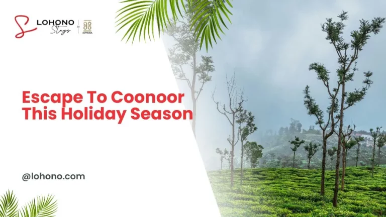 A Peaceful Coonoor Getaway For The Holiday Season