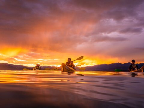 Water Sports in Goa: Your Guide to the Best Activities, Prices & Beaches