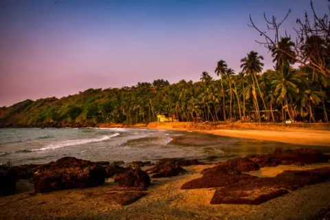 Top 10 Indian Destinations for a Year-End Escape