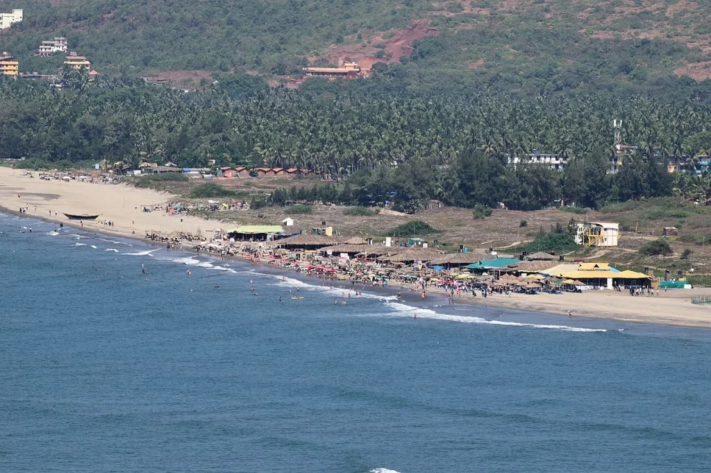 Morjhim_Beach_Goa