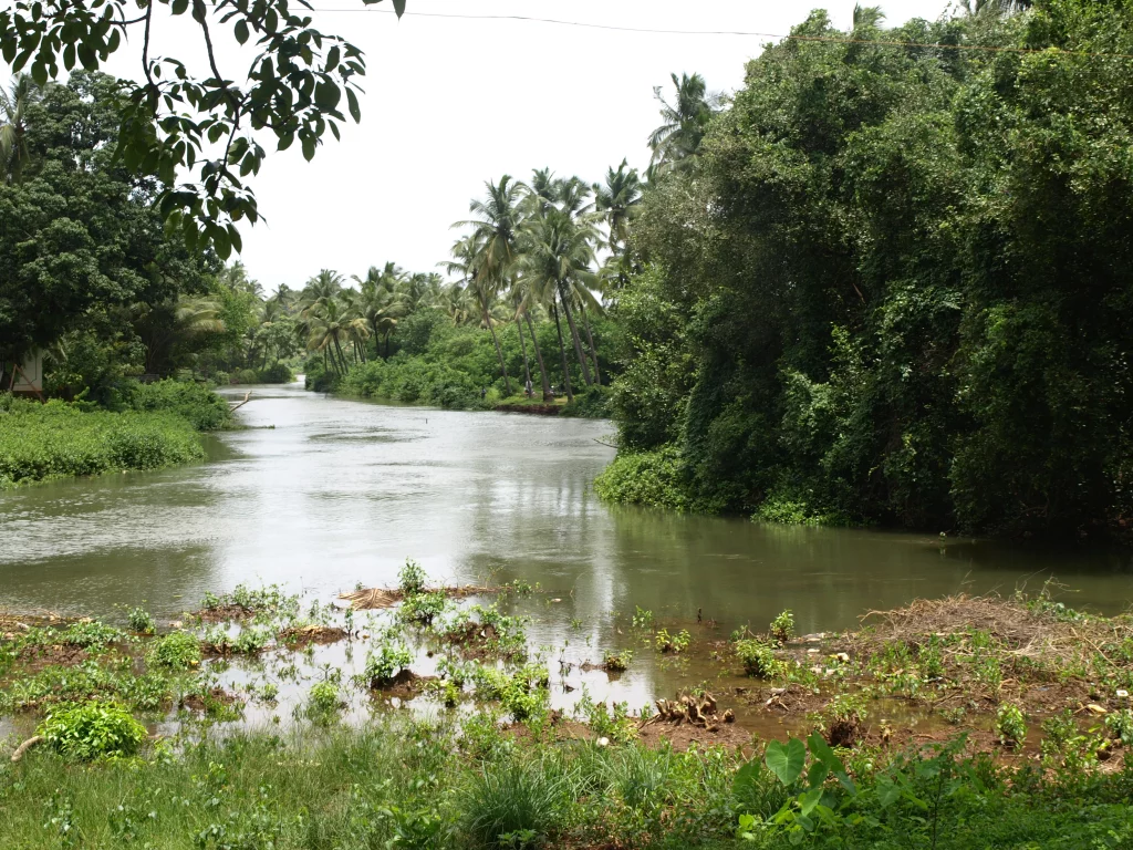 Waters_flowing_in_Siolim,_Goa