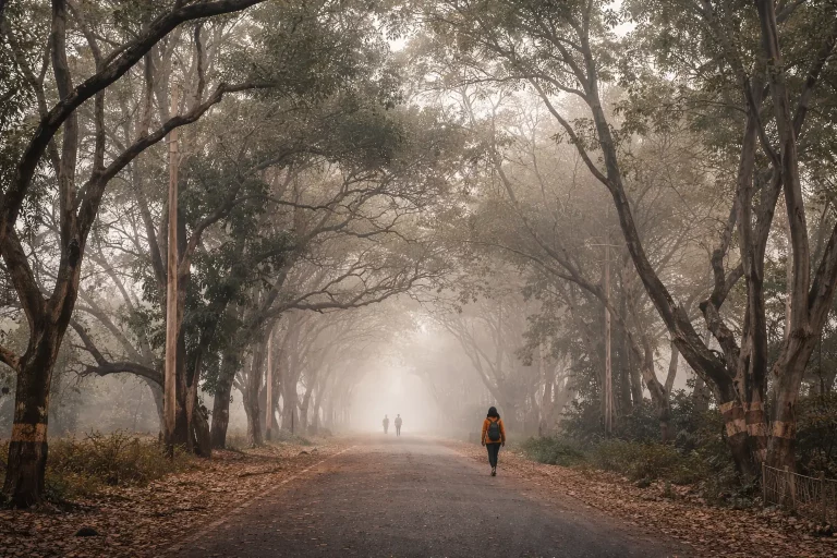 Weekend Getaways To The Coldest Places In Maharashtra