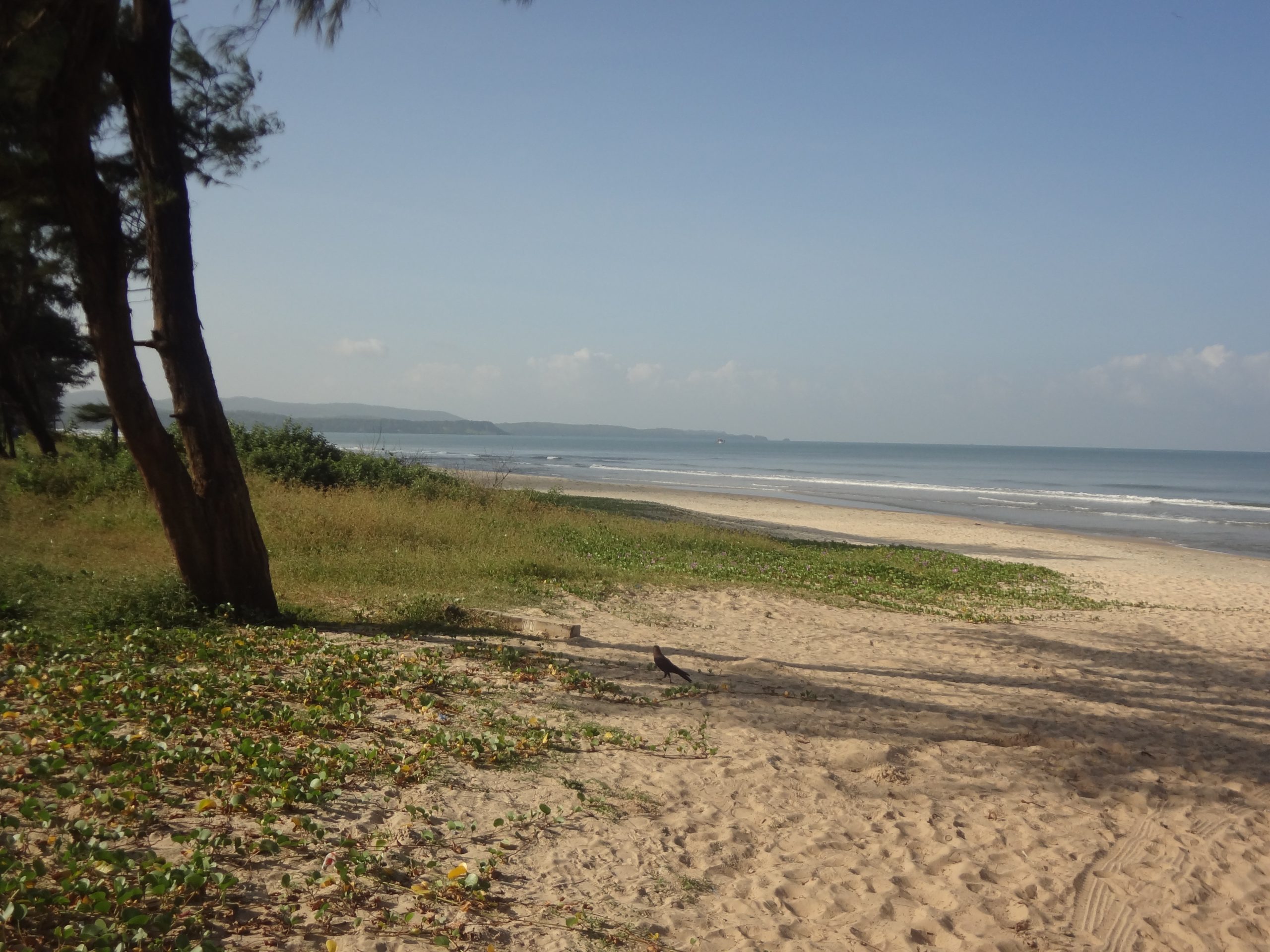 Cavelossim_Beach