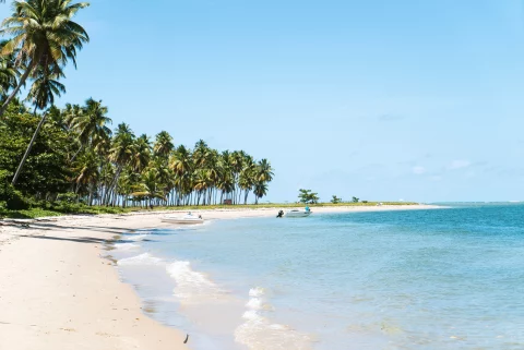 How Many Beaches Are There in Goa?