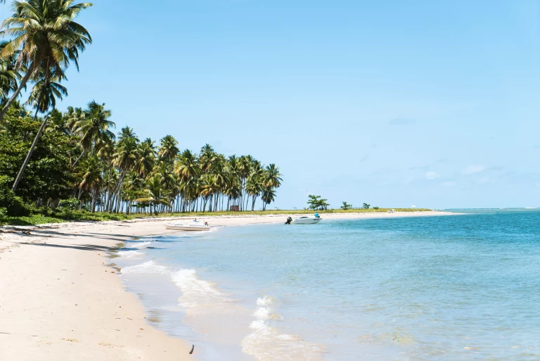 How Many Beaches Are There in Goa?