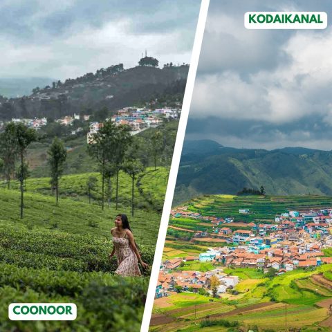 Coonoor vs Kodaikanal For a Luxury Villa Retreat