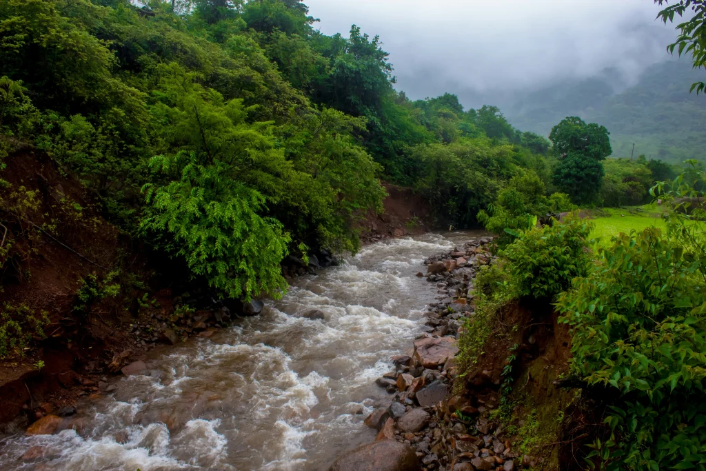 trek-in-monsoon-maharashtra