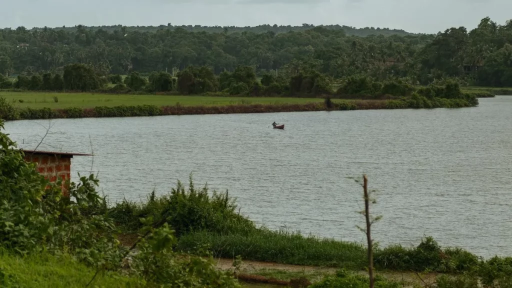 aldona-backwaters