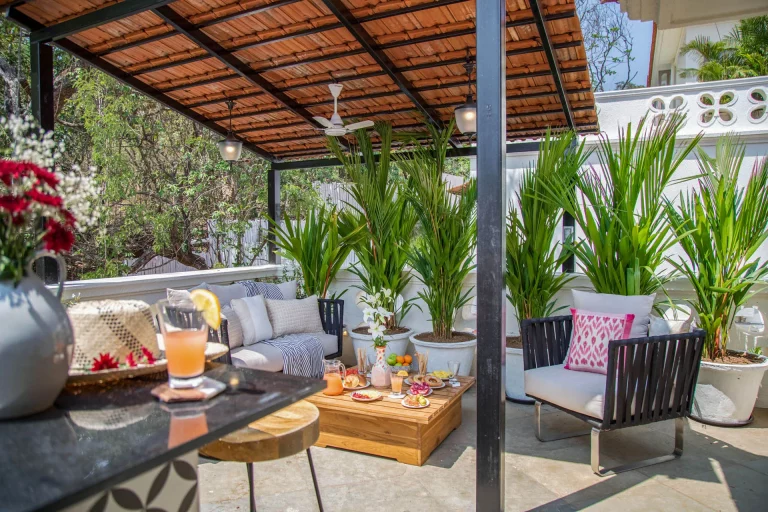 Best Restaurants in Assagao, Goa: Hidden Gems